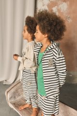 STRIPED BISON SHORTS / Pásikavé šortky s bizónom